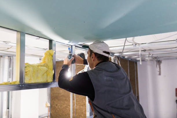 Best Attic Insulation Installation  in Mineral Springs, NC