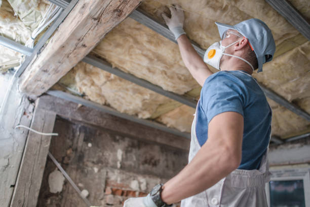 Best Cellulose Insulation  in Mineral Springs, NC