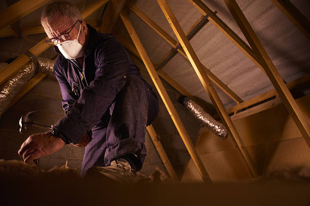 Best Wall Insulation Contractor  in Mineral Springs, NC